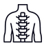 spine